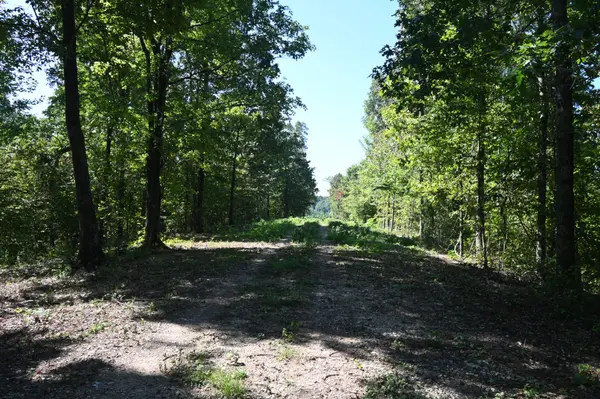 2038 Swindle Creek Rd, Linden, TN 37096