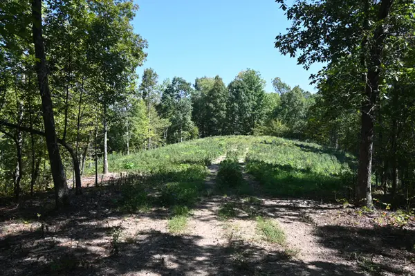 2038 Swindle Creek Rd, Linden, TN 37096
