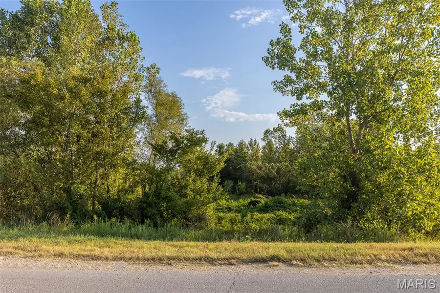 0 Off Old Hwy 60, Dudley, MO 63936