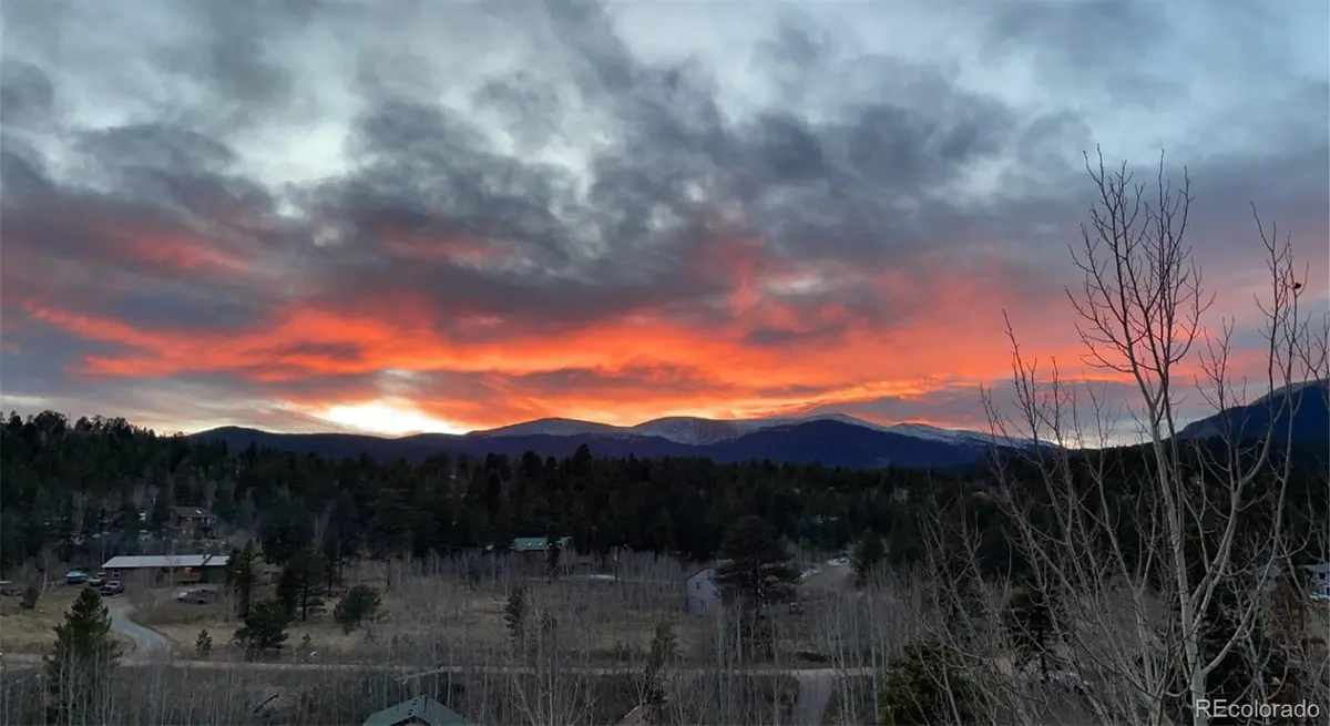203 Gold Flake TER, Bailey, CO 80421