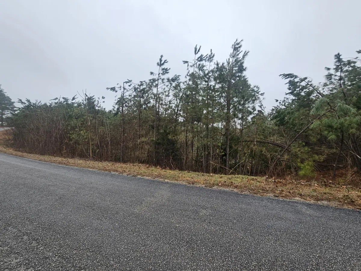 7594 Rockhouse Rd, Linden, TN 37096