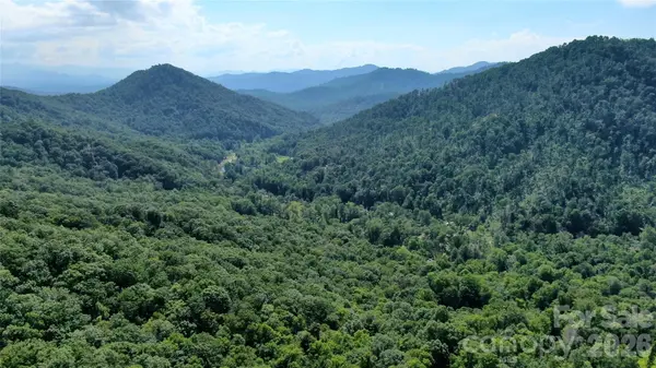 99999 Bee Tree RD, Swannanoa, NC 28778