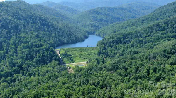 99999 Bee Tree RD, Swannanoa, NC 28778