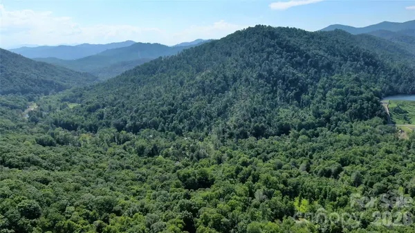 99999 Bee Tree RD, Swannanoa, NC 28778