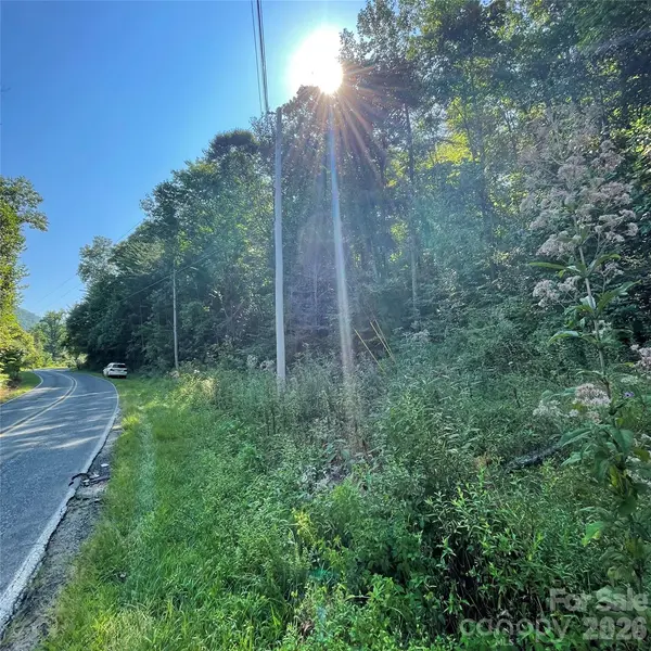 Cedar Creek 0 RD, Lake Lure, NC 28746