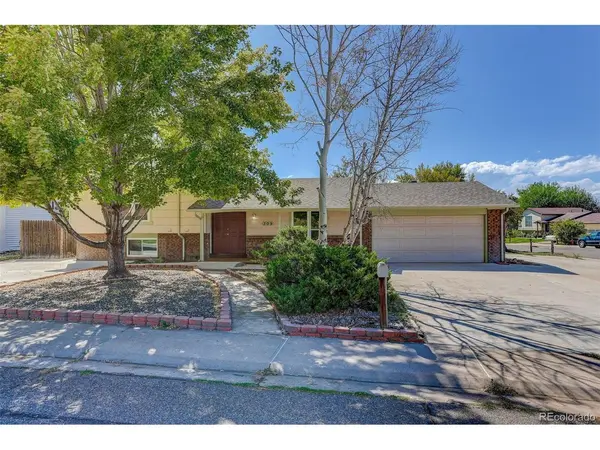 309 S 25th, Brighton, CO 80601
