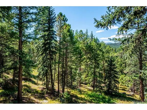 8281 Grizzly, Evergreen, CO 80439