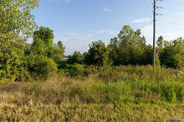 0 Off Old Hwy 60, Dudley, MO 63936