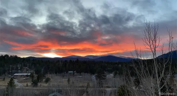 203 Gold Flake TER, Bailey, CO 80421