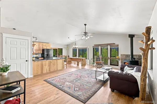 203 Gold Flake TER, Bailey, CO 80421