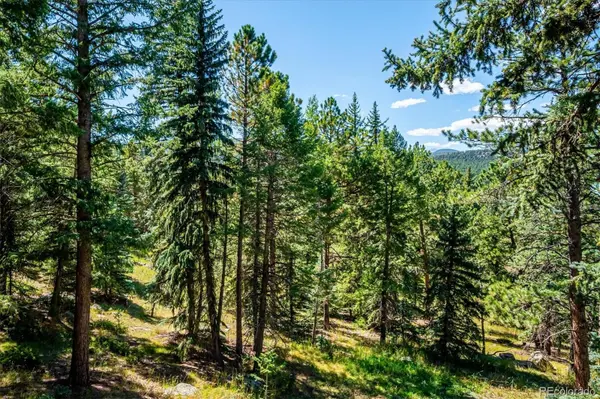 8281 Grizzly WAY, Evergreen, CO 80439