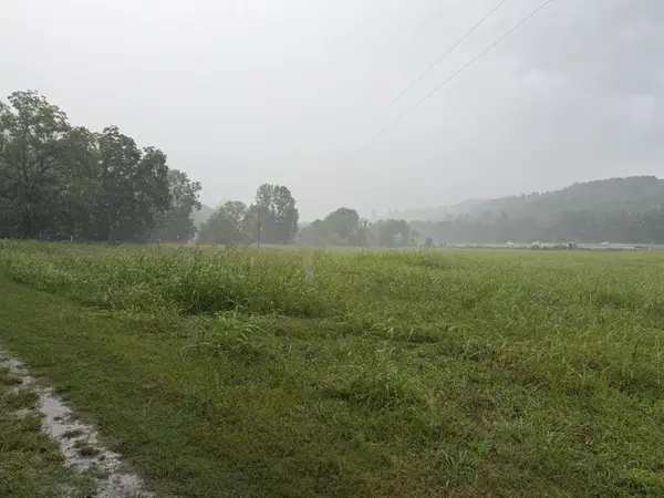 4027 Panhandle Rd, Wartrace, TN 37183