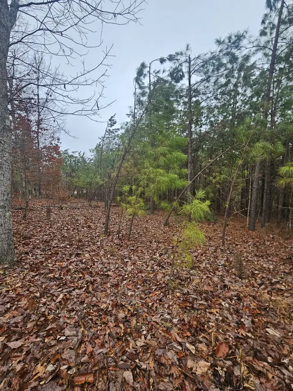 7594 Rockhouse Rd, Linden, TN 37096