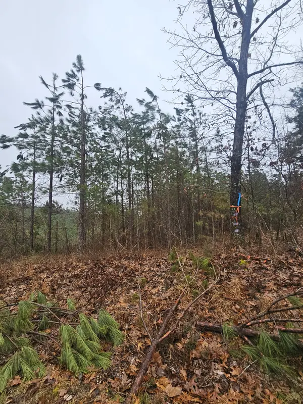 7594 Rockhouse Rd, Linden, TN 37096