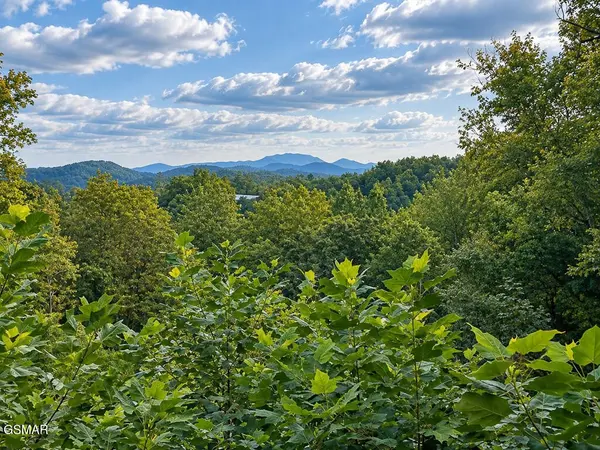 2511 Cove Mountain Lane, Sevierville, TN 37862