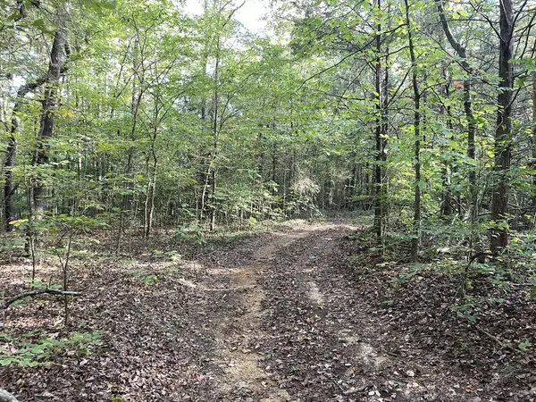 0 Waters Road, Centerville, TN 37033