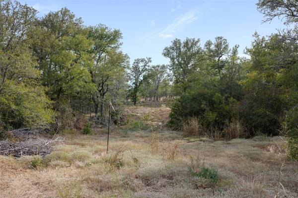 Tract 2 FM 713, Dale, TX 78616