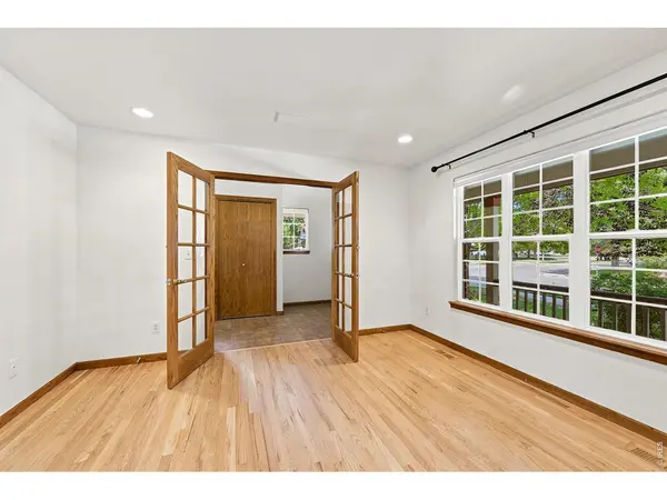 243 Cattail, Windsor, CO 80550