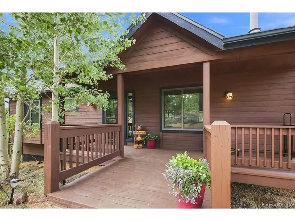 203 Gold Flake, Bailey, CO 80421