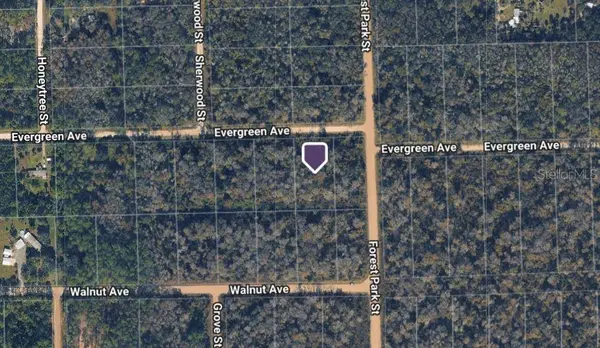 4001 EVERGREEN AVE, Bunnell, FL 32110