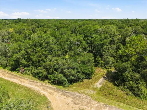Lot 11 NW 164TH ST, Fanning Springs, FL 32693