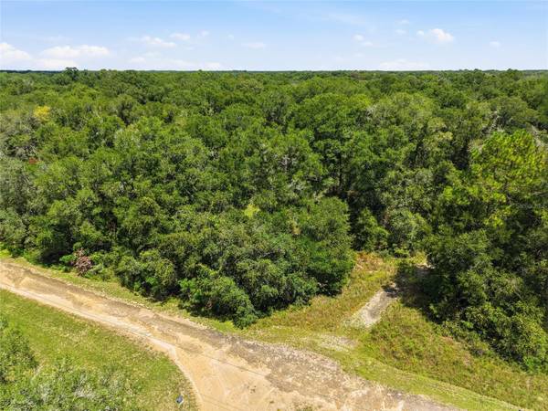Lot 11 NW 164TH ST, Fanning Springs, FL 32693