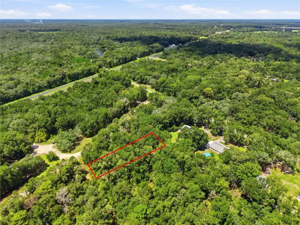 Lot 11 NW 164TH ST, Fanning Springs, FL 32693
