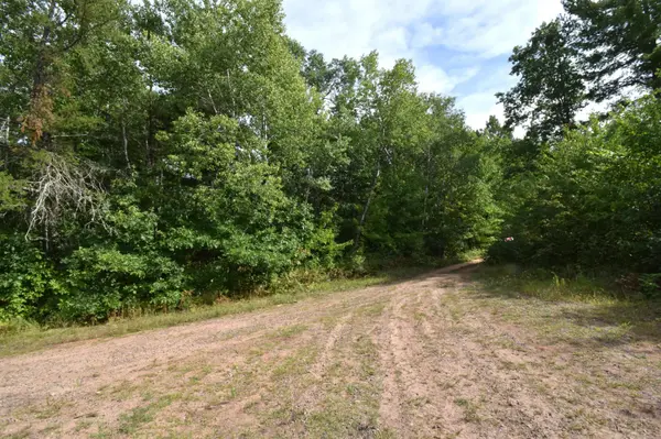 28206 Pardun RD, Danbury, WI 54830