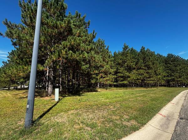 TBD Emerald DR, Alexandria, MN 56308
