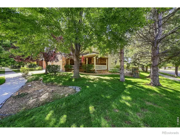 243 Cattail, Windsor, CO 80550
