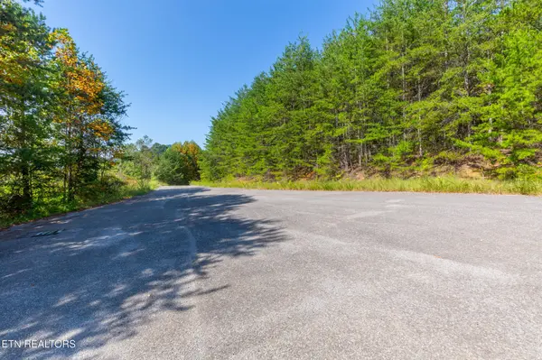 742 White Dogwood Rd, Cosby, TN 37722