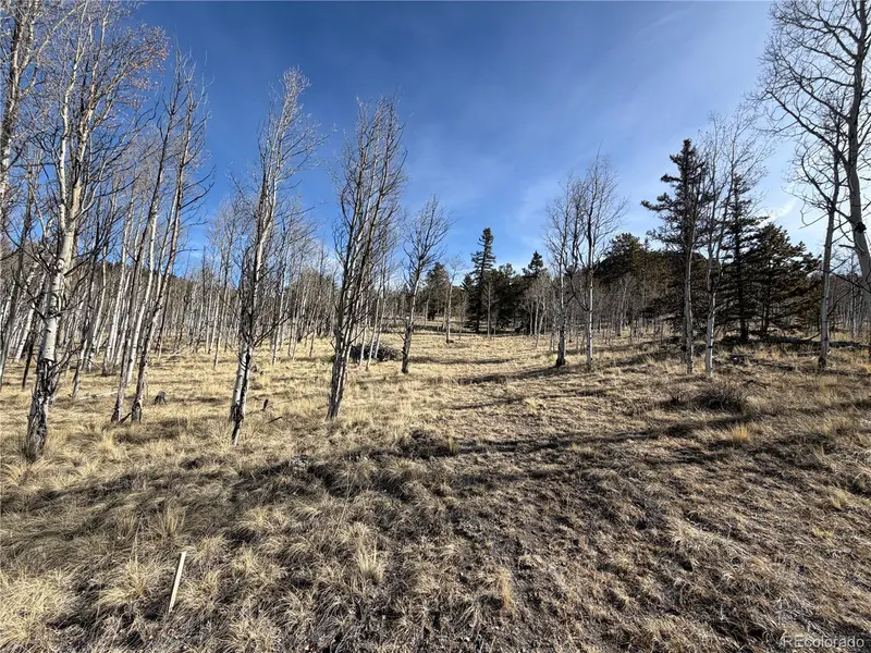 32 Sugar Loaf LN, Jefferson, CO 80456