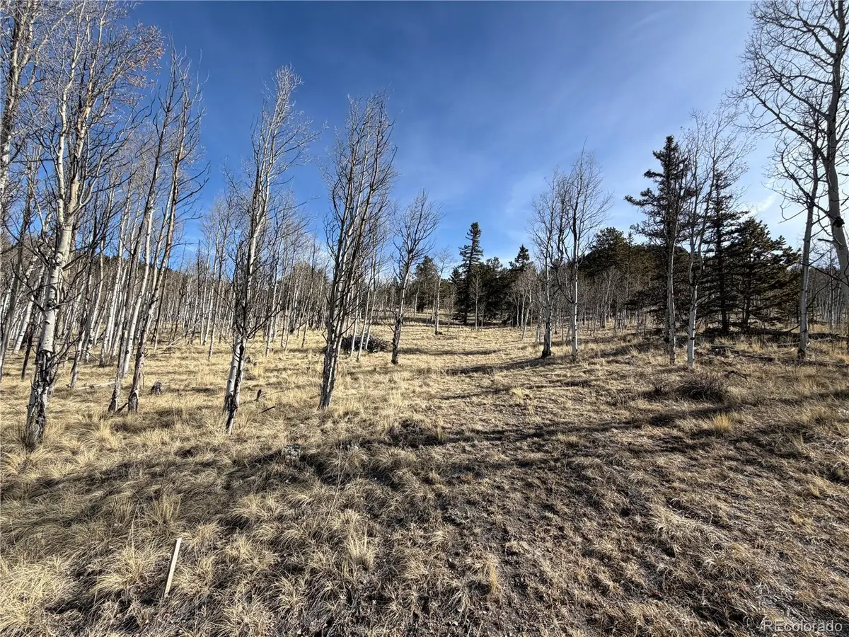32 Sugar Loaf LN, Jefferson, CO 80456