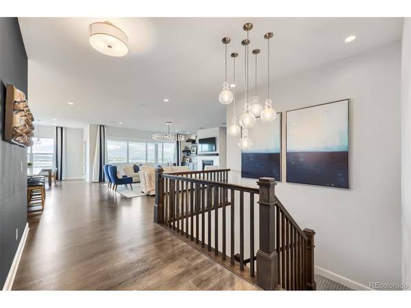 215 Alumroot, Castle Rock, CO 80104