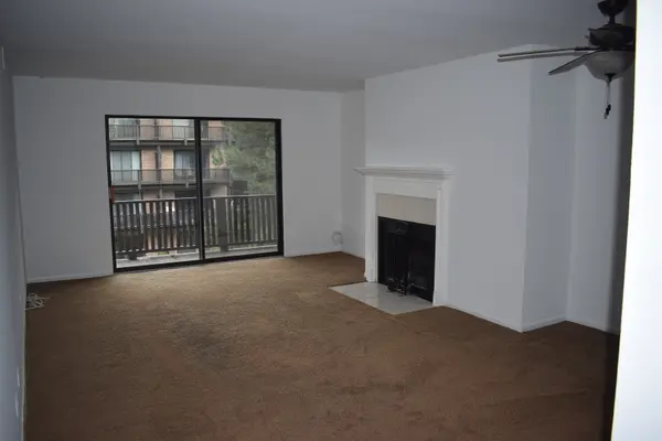 460 N Main ST #N306A, Wauconda, IL 60084
