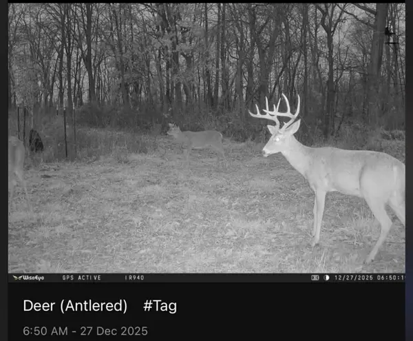 0 County Rd 230 N RD, Ridge Farm, IL 61870
