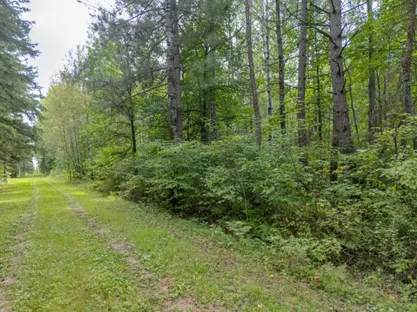 TBD Town Road #55, Big Falls, MN 56627