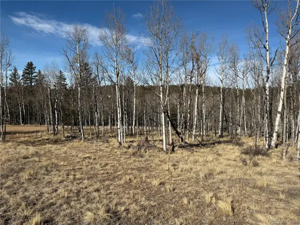 32 Sugar Loaf LN, Jefferson, CO 80456