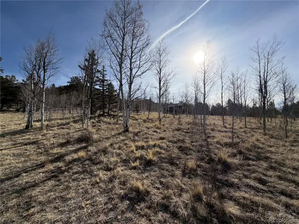 32 Sugar Loaf LN, Jefferson, CO 80456