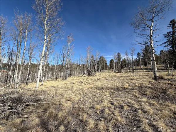 32 Sugar Loaf LN, Jefferson, CO 80456