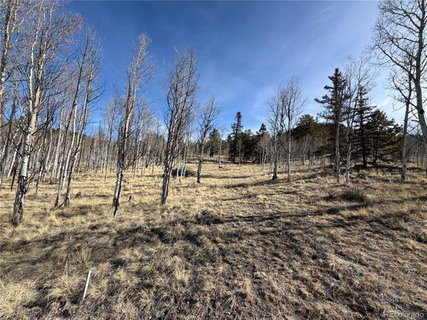32 Sugar Loaf LN, Jefferson, CO 80456