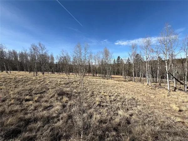 32 Sugar Loaf LN, Jefferson, CO 80456