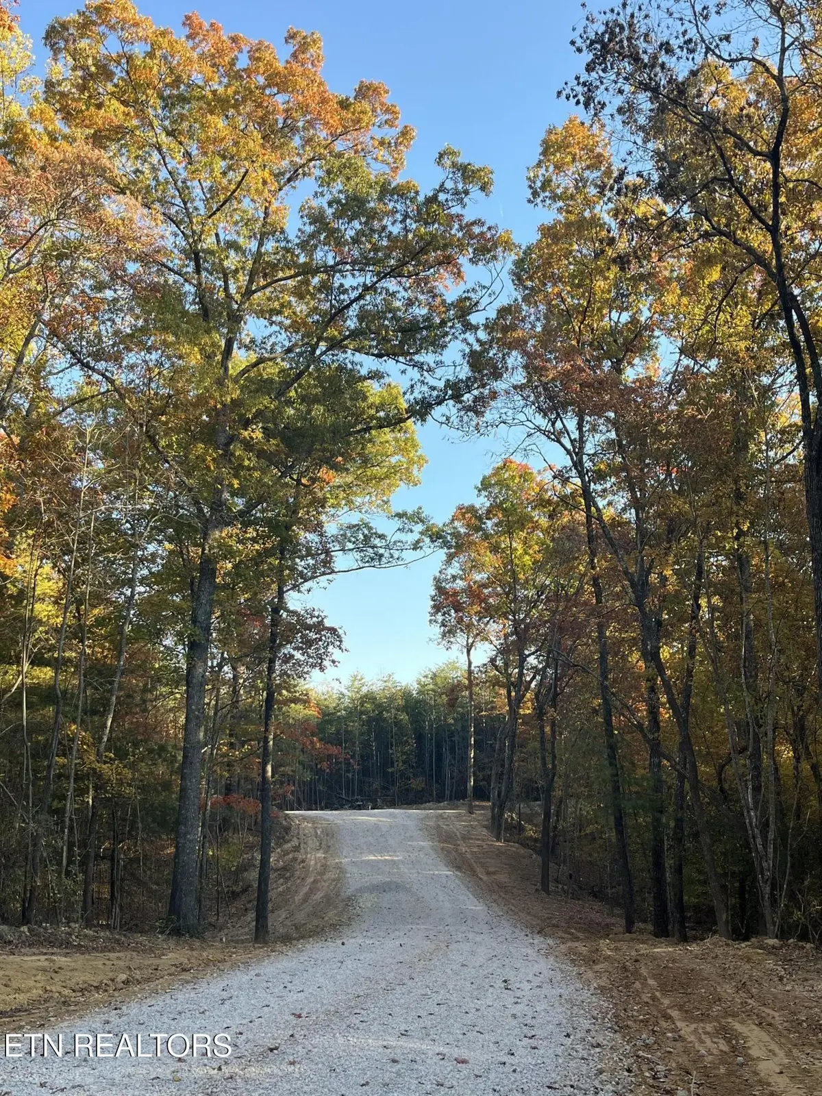 111 Cherokee Path, Tellico Plains, TN 37385