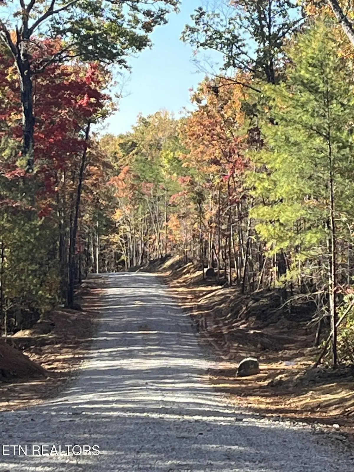 107 Cherokee Path, Tellico Plains, TN 37385