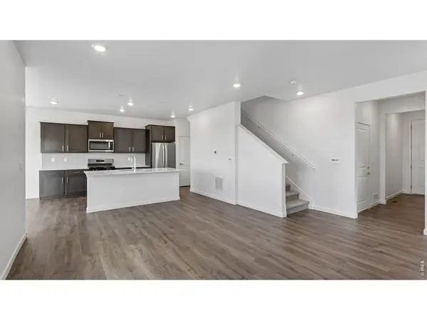 1923 Sorghum, Johnstown, CO 80534