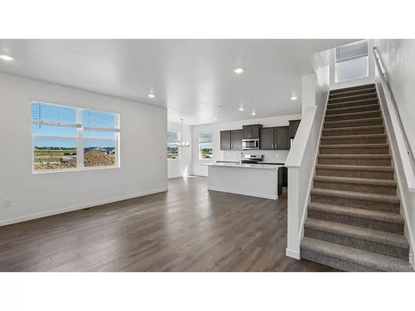 1923 Sorghum, Johnstown, CO 80534