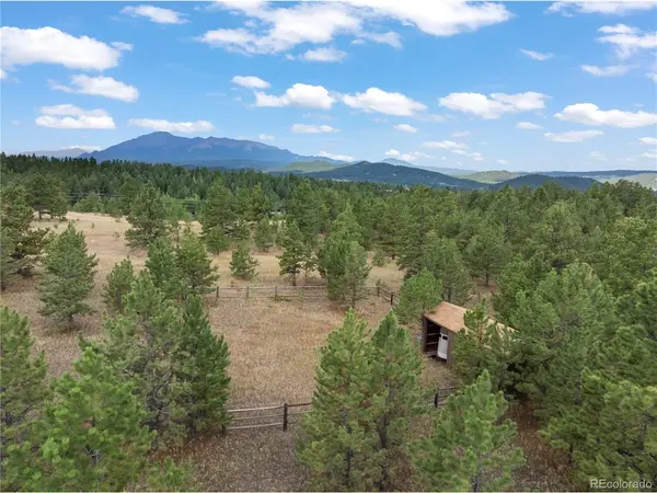 580 Mills Ranch, Woodland Park, CO 80863