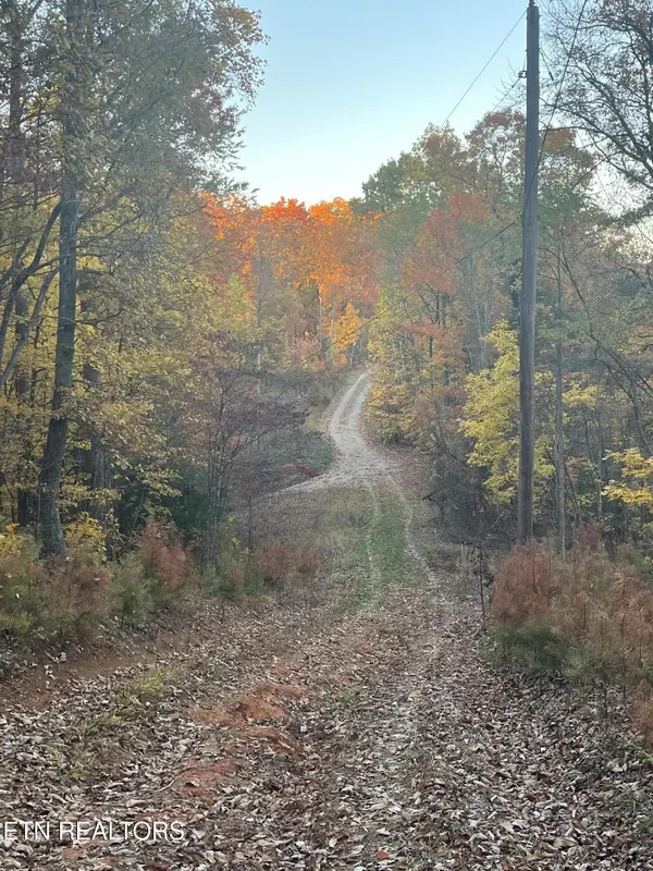 2742 Black Mountain Road, Tellico Plains, TN 37385
