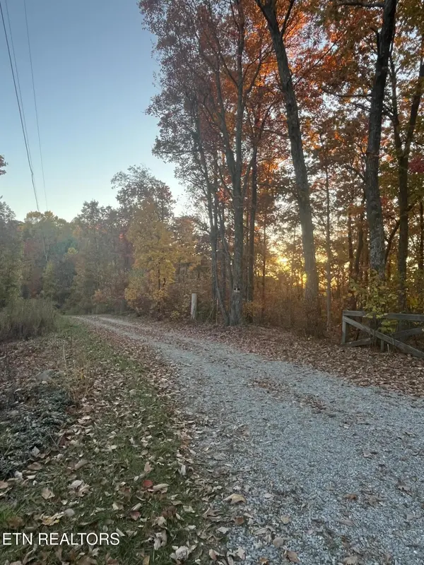 2742 Black Mountain Road, Tellico Plains, TN 37385