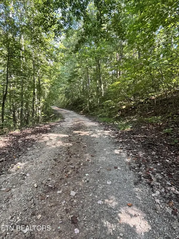 552 New Providence Rd, Tellico Plains, TN 37385